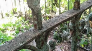 Заказать перекраску ограды